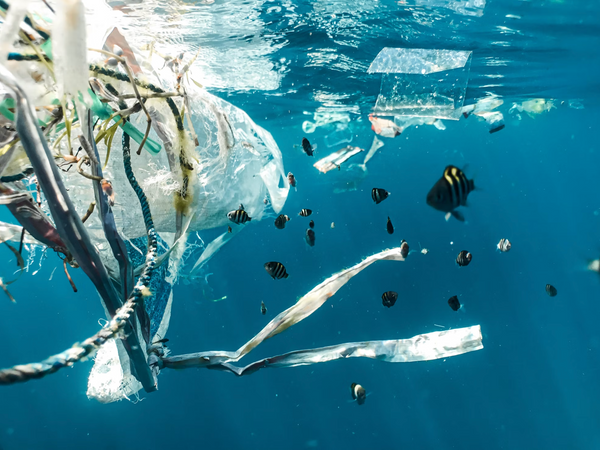 Ways to reduce plastic waste floating in the ocean