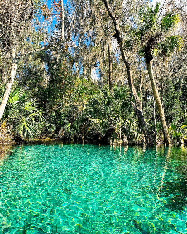 The view of blue springs